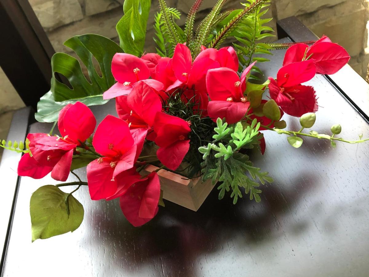 Bougainvillea Akebonobashi Tóquio